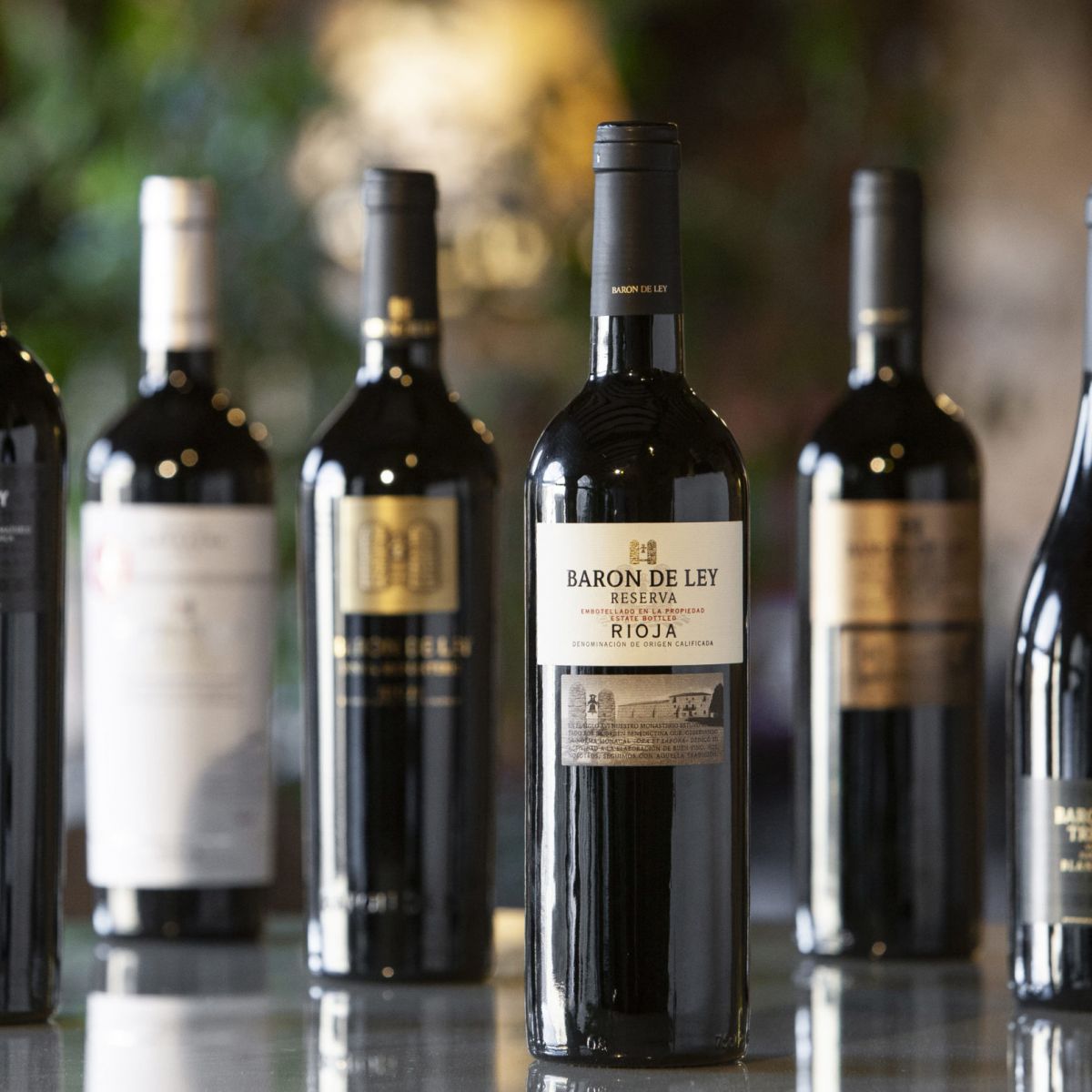 Bodegas de vino Teruel - Turoldis