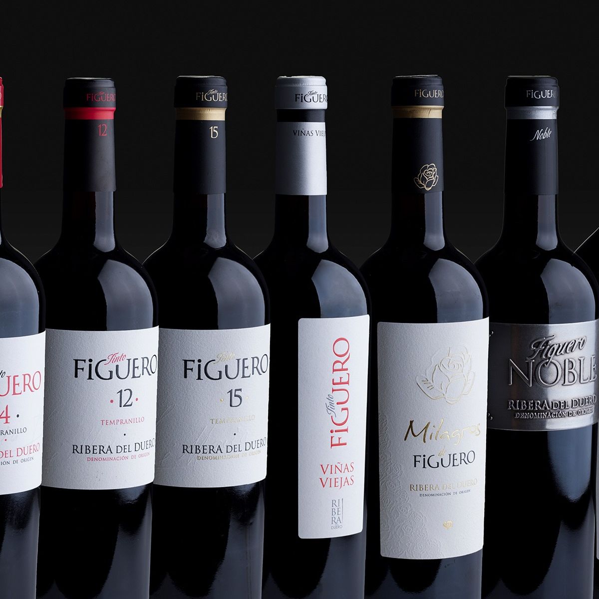 Bodegas de vino Teruel - Turoldis