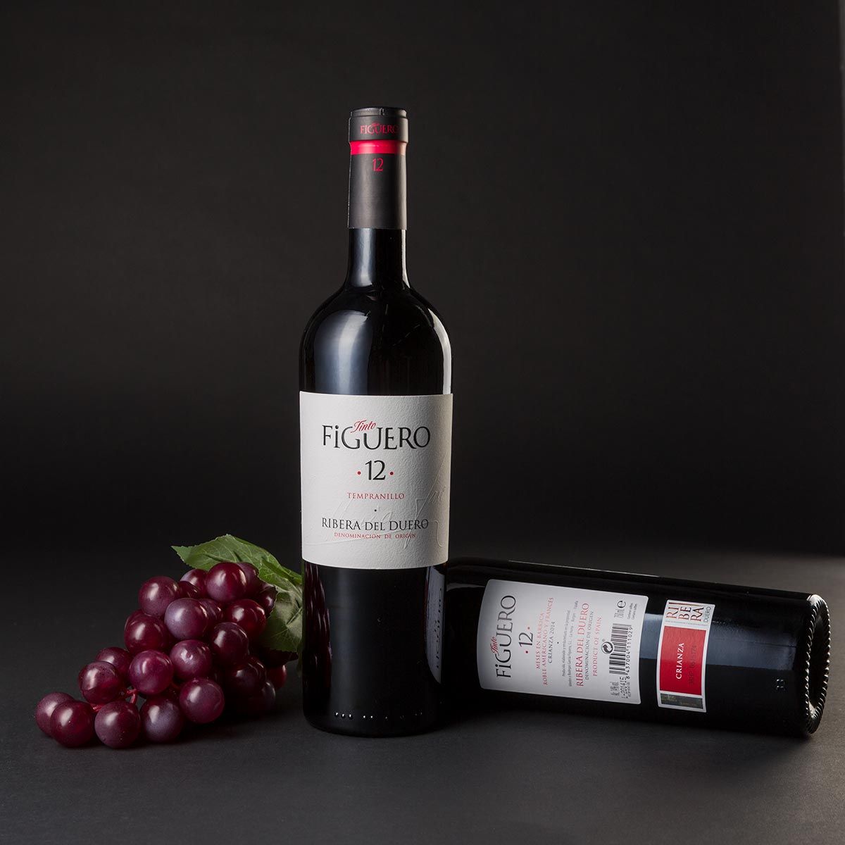 Bodegas de vino Teruel - Turoldis